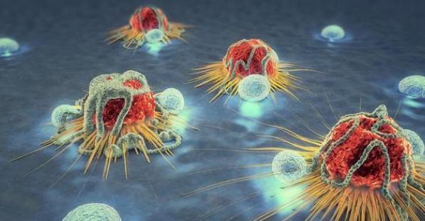 红薯|红薯可消灭98.7%的癌细胞，有依据吗？研究结果或公布，早知早好