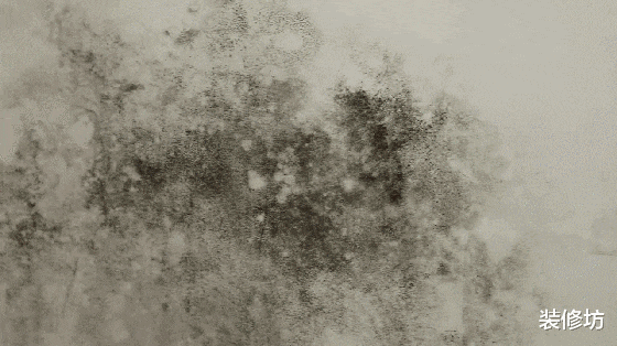 家中墙面霉菌“疯狂”生长?偷偷教你2招,霉斑再多也不怕!