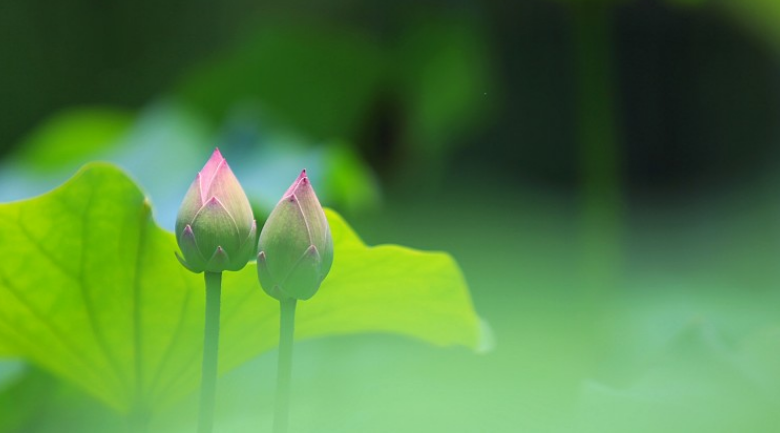 老年病|我裸辞了:在健康面前,年新40W+只是个数字