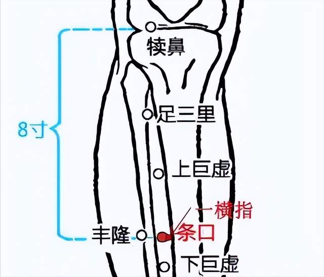 按摩|经络穴位，一日一学——条口，经常按摩让肠胃更强健