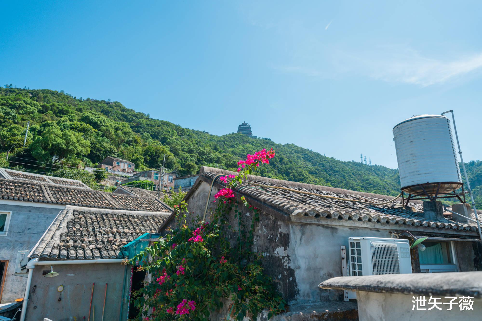 洞头|走，我们去洞头，看看这个百岛洞头究竟有多美……