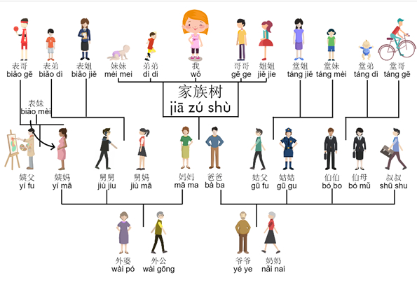 家庭成员结构图图片