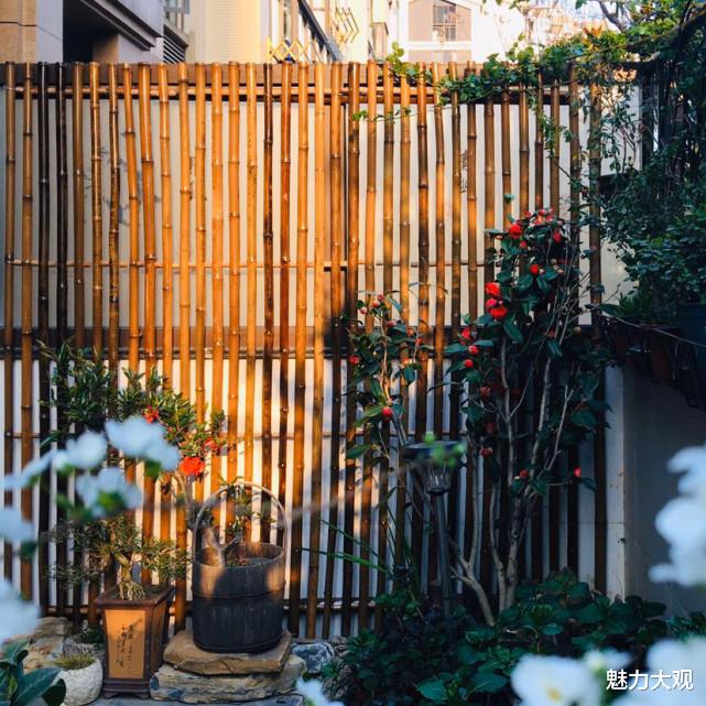 玩转庭院，低成本，高颜值，学会这几招你也可以