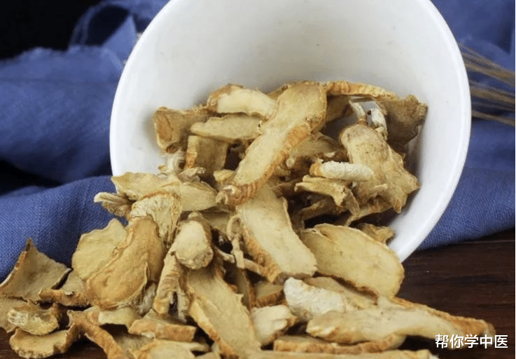 桂枝|一张方，恢复四肢阳气！阳气一通，关节不痛，寒湿皆消