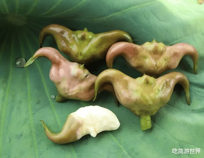 秋季，不吃它太亏了，蛋白质比红薯高2倍，健脾胃除秋燥，正当季