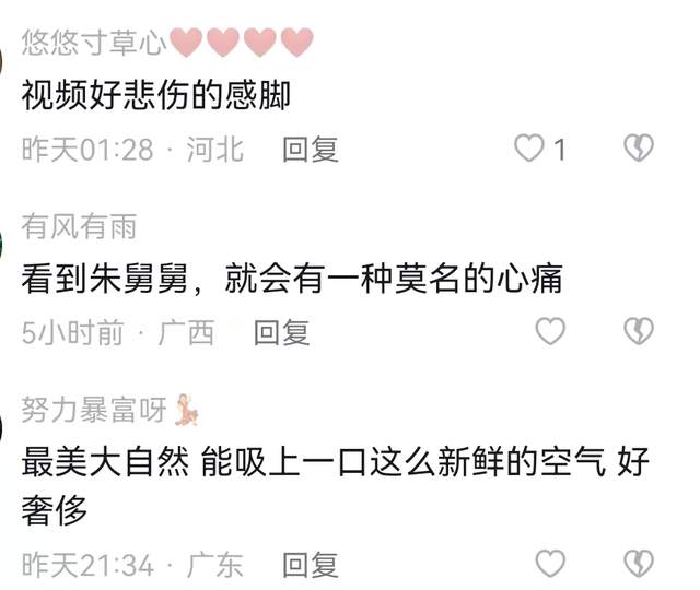 林生斌|林生斌事件已尘埃落定？朱舅舅发视频显悲伤，网友对小贞依然思念