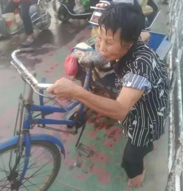 长寿|86岁阿婆从未生过病，其健康长寿的“秘诀”竟如此简单！