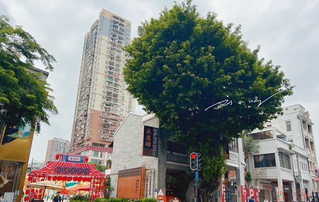 珙桐|广州市荔湾区有个“尴尬”的4A景区，距离上下九不远，人气却不旺