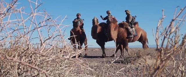 骆驼没天敌吗？5吨重的大象都能被吃，却没有食肉动物吃骆驼？