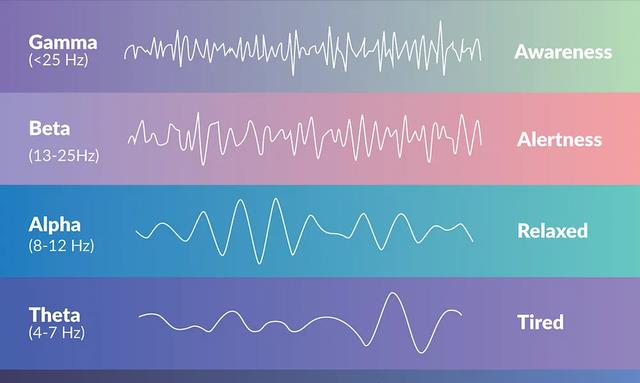 科学家观测濒死脑电波,临死前看到“人生走马灯”可能真存在