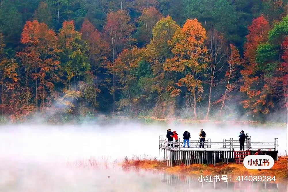 小红书|枫红了！广西标志性赏枫秘境，又到最佳观赏期！|广西旅游年卡