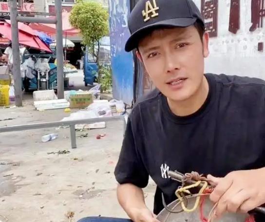 明星|8位明星下乡干农活：60岁曹荣喂猪、赶牛，王艳带手套摘豆角