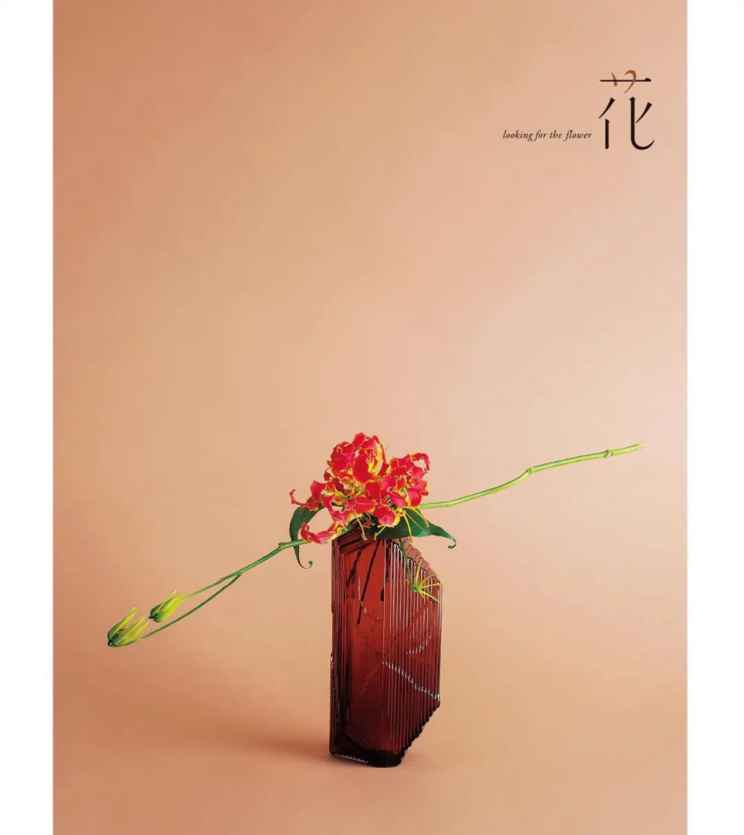 “插花”和“服装陈列”共有的一个规则:三角构图