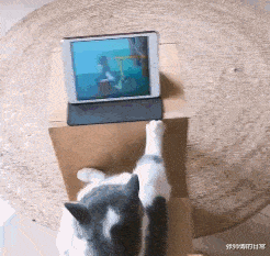 “好不容易把房贷车贷给还完了,你要让我重新还一遍?”