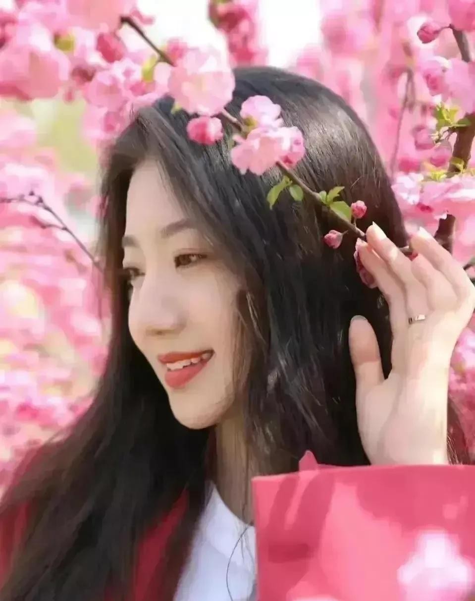 黄粱一梦|“四朵金花”德不配位,空有一副好皮囊,终究只是黄粱一梦!