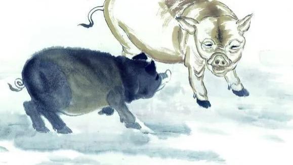 属兔|下周开始贵人降临，一路如沐春风，气势如虹幸福满满。