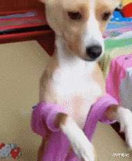 “女友闺蜜喊我去唱歌,穿成这样谁顶得住啊?”兄弟忍住!