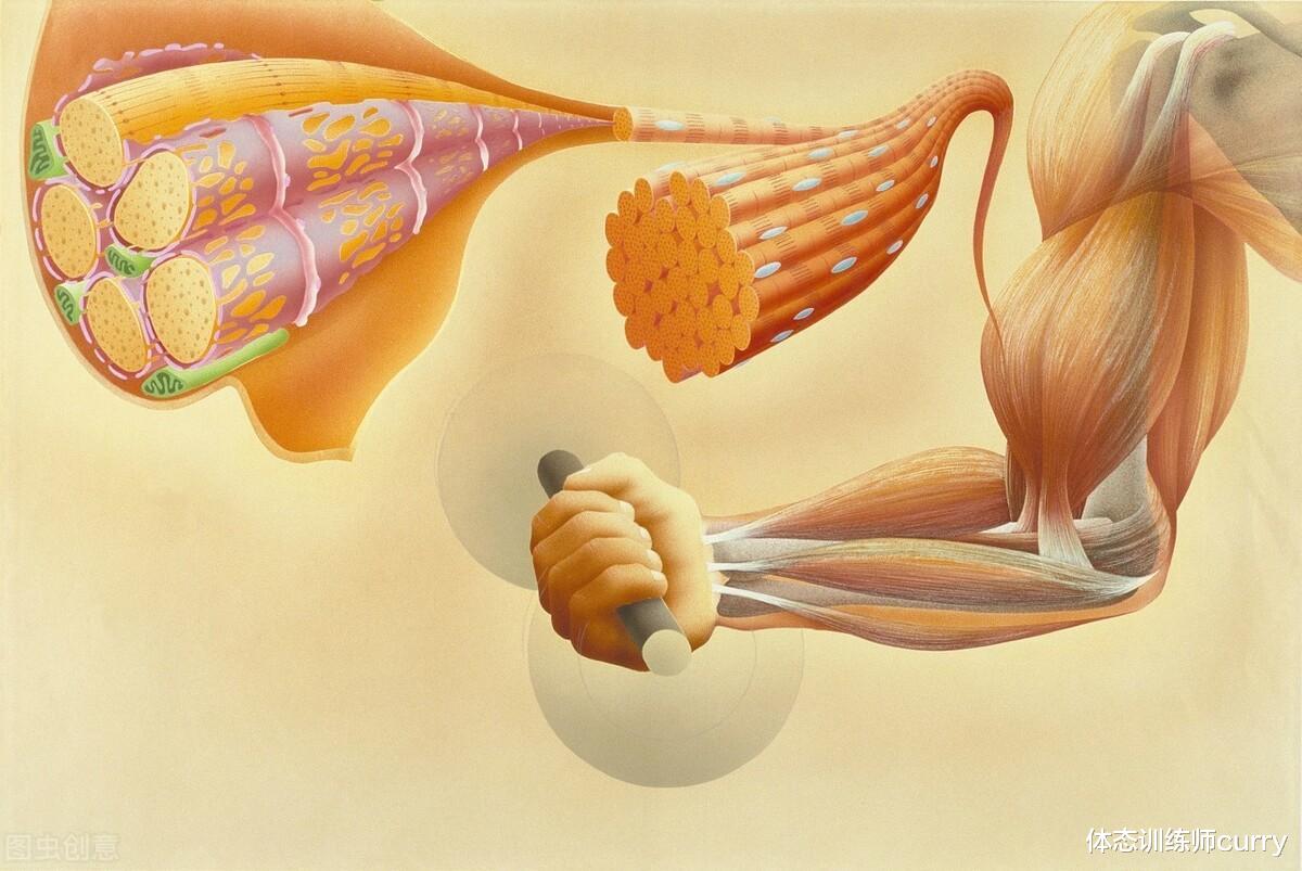 健身|公认全球身材最完美的人！真正的靠身材吃饭，附加一套练胸动作