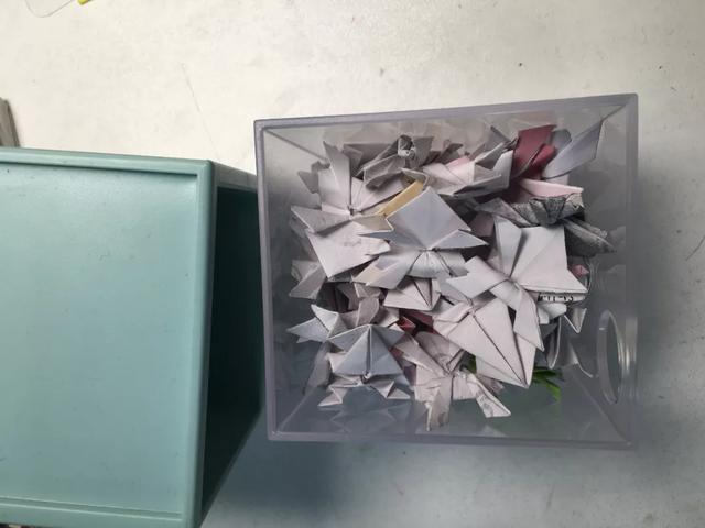 高校|宁愿出门遛狗，也不想在家盯娃~杭州妈妈晒期末考试前辅导，场面笑喷：已不是“女娲补天”，而是在创世纪
