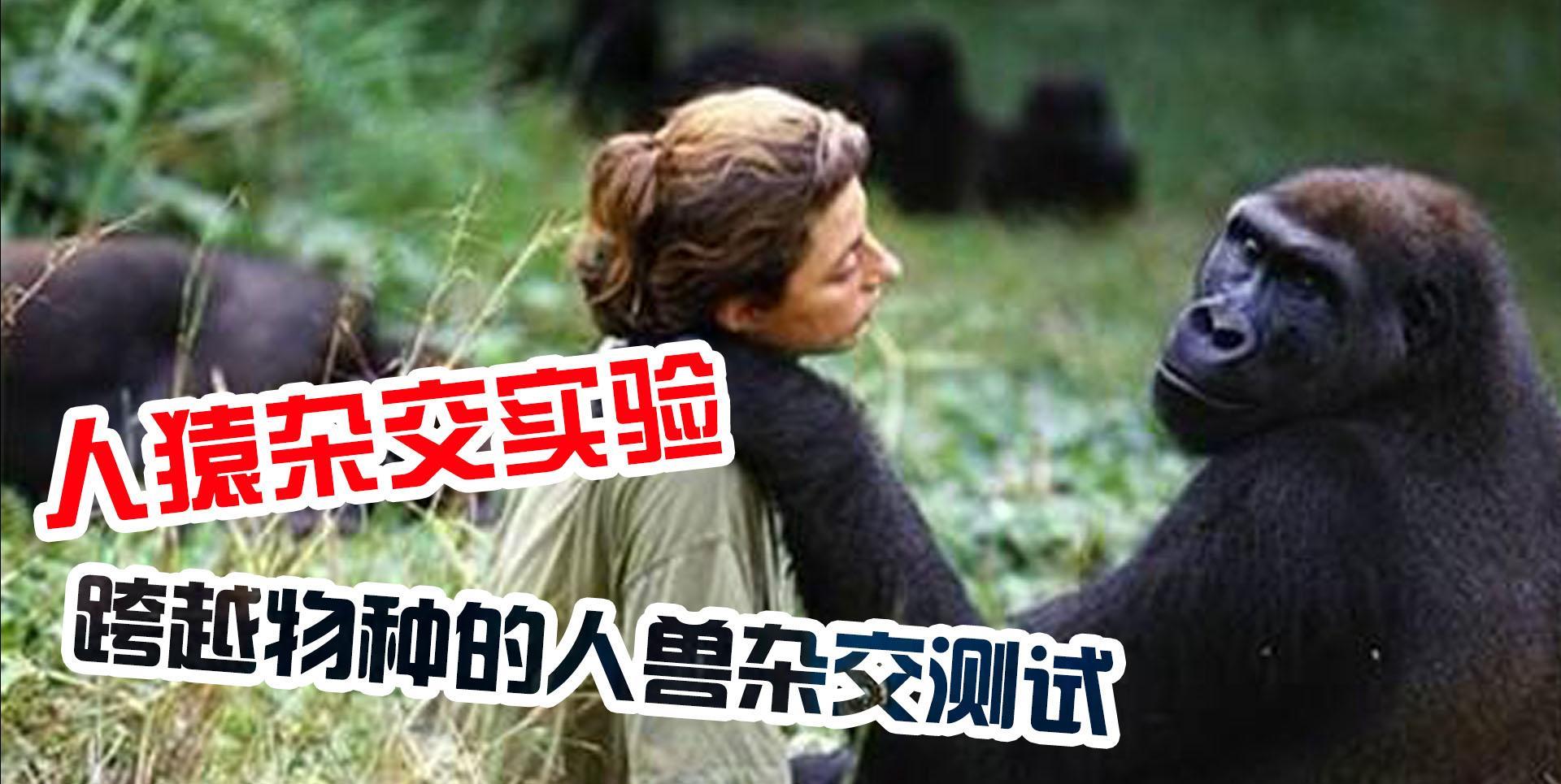 苏联灭绝人性的实验:试图让人怀上猿猴的孩子,这过程残忍至极