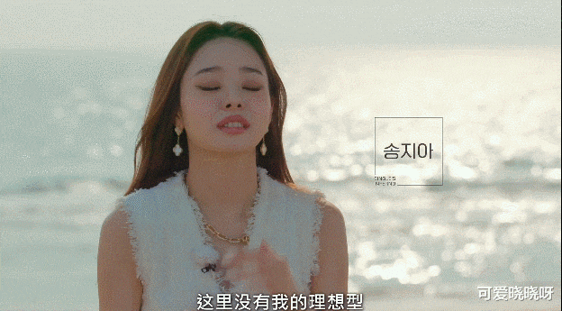 宋智雅|红了半个月，就凉了？