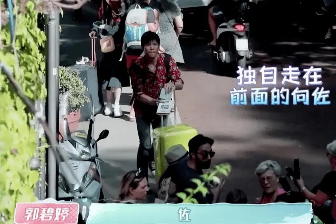 向佐|这福气给你，要不要？