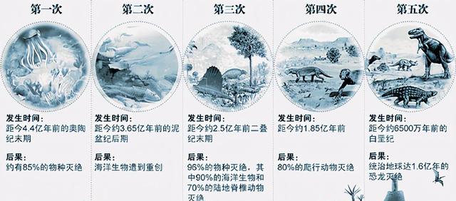 地球曾出现的五次生物大灭绝,原因是什么?第六次大灭绝会有吗?