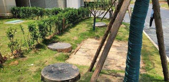 恒大|恒大竟然交付了?!