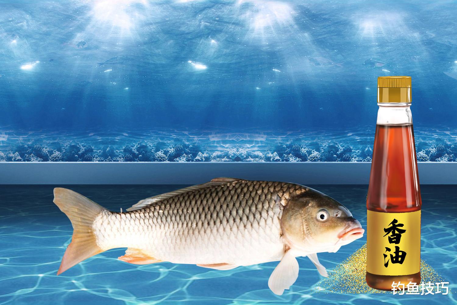 |用香油钓鱼有效果吗？用法正确才有效果，香油钓鱼的正确用法