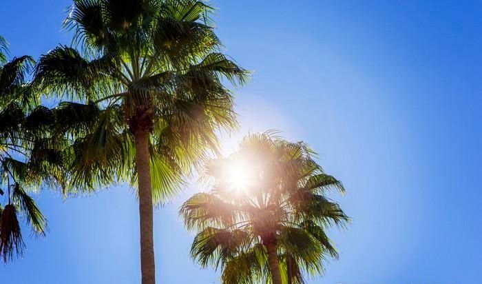 文娱之我只是个演员|《文娱之我只是个演员》：精品文娱小说，主角努力的样子让人感动