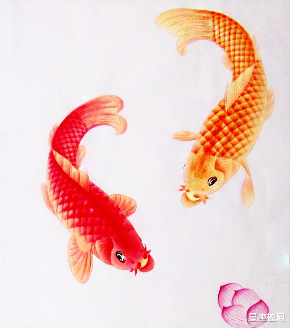 |哪几个日子出生的人，福星左右环绕，一路趋势向好，大展宏图