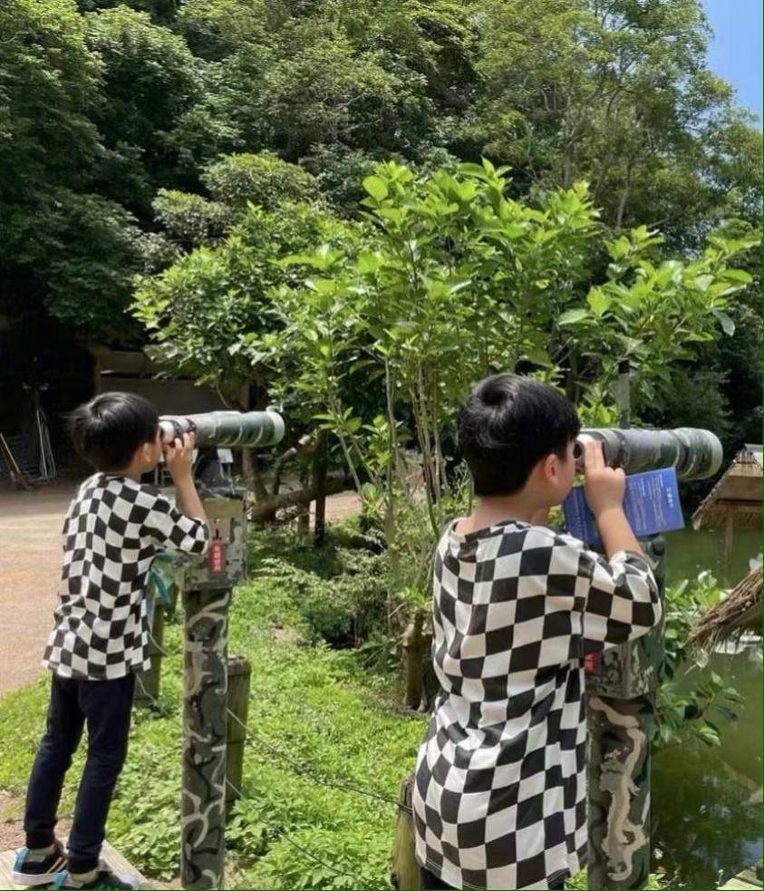 林志颖|林志颖陈若仪为双胞胎儿子庆生，7岁Jenson帮母亲刷碗，超温馨