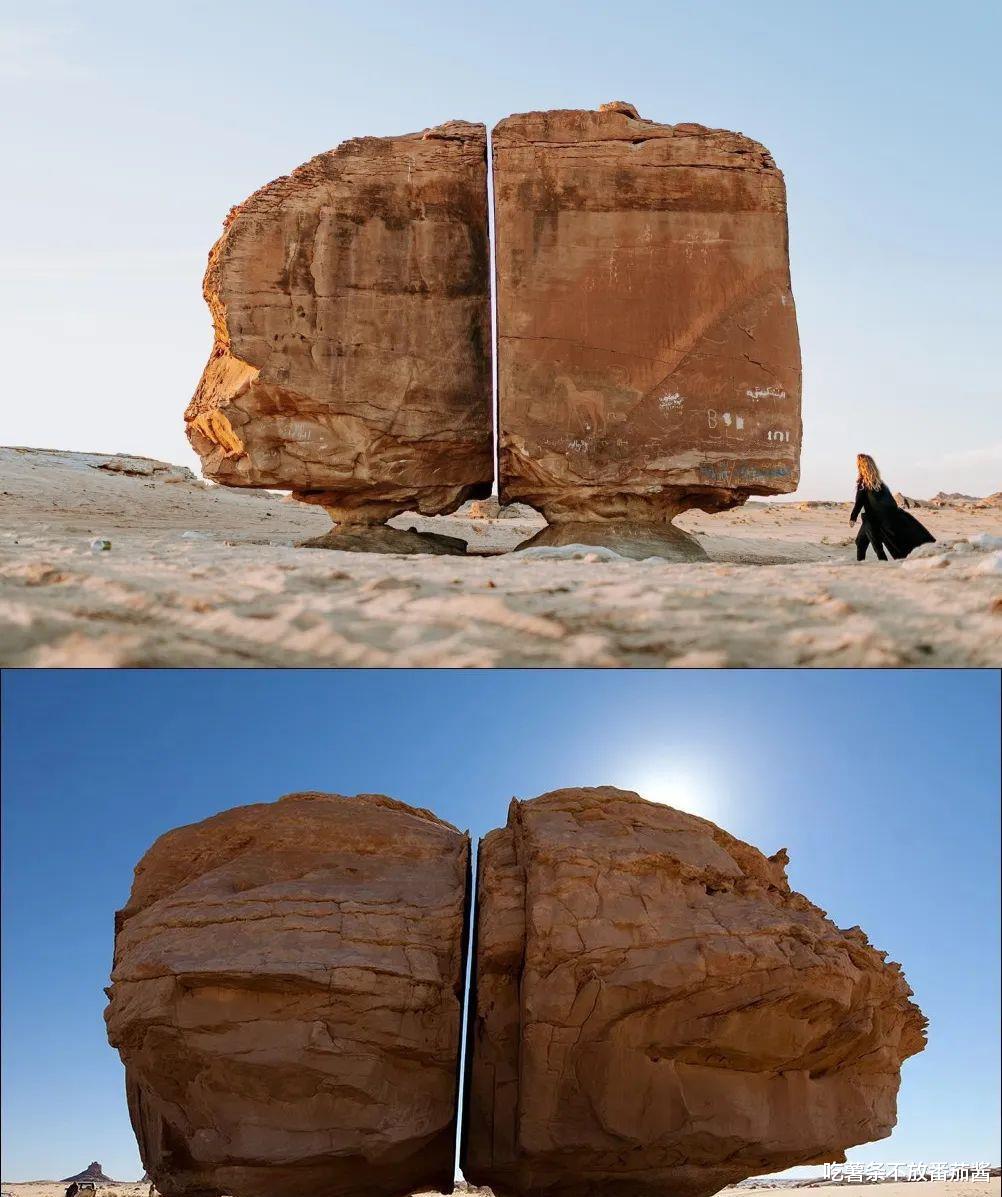 嘉兴|30张活久见的照片，令人眼界大开