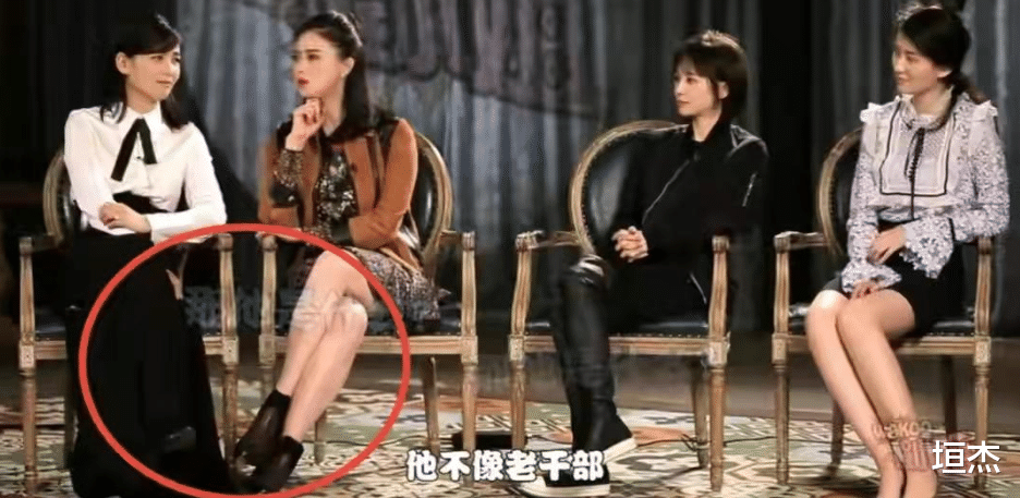 刘涛|一集片酬50万，年入1.8亿，5年还清4亿债务，刘涛到底有多赚钱？