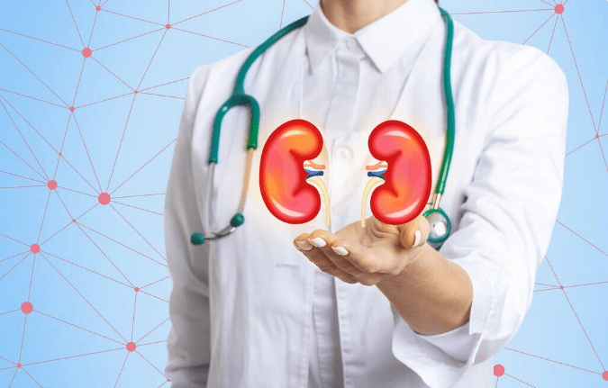 肾病|肾功能断崖式下降?肾内医生给出2点保肾建议,别被尿毒症追上