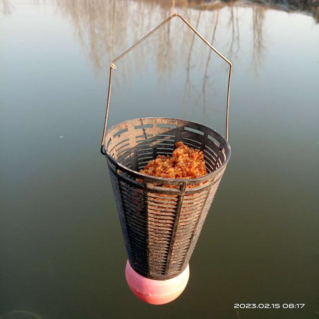 鲫鱼|早春鱼口稀,鲫鱼几尾来光顾