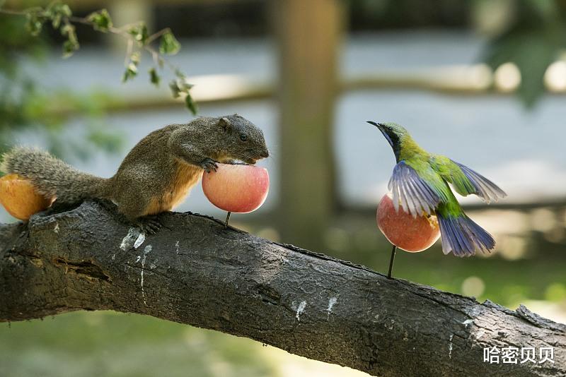 小程序|自媒体以后以内容为王，那什么是优质内容呢？符合这三点的才是