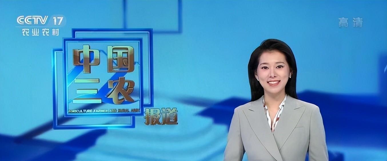 央视|孟语凡与田靖华入职央视，成为央视夫妻档主持，未来可期