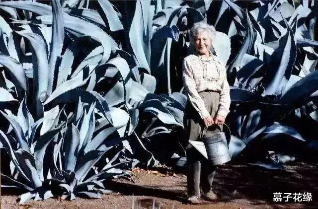 109岁的“姑娘”,用40年,凭一己之力造就了一个“多肉博物馆”