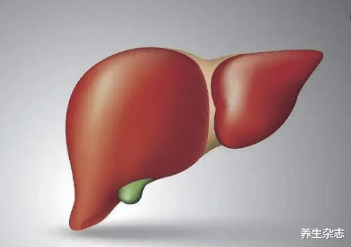 急救|夏天多吃番茄可以养肝？医生提醒：若想养肝护肝，远离这3种美食