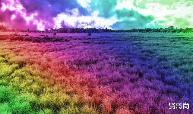 退休后一个朋友都没有，是不是过得很凄惨？61岁大妈说出心里话