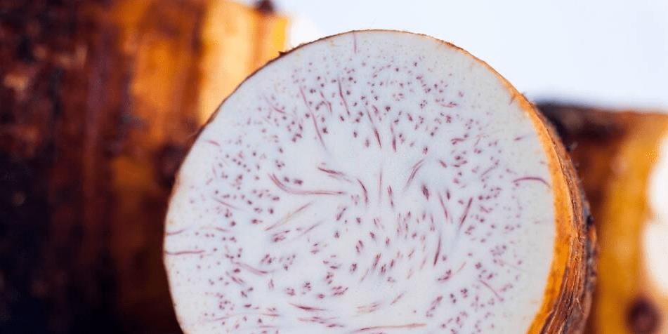 入冬三分虚，建议多吃“冬日5宝”，顺时温补，精力充沛过冬天