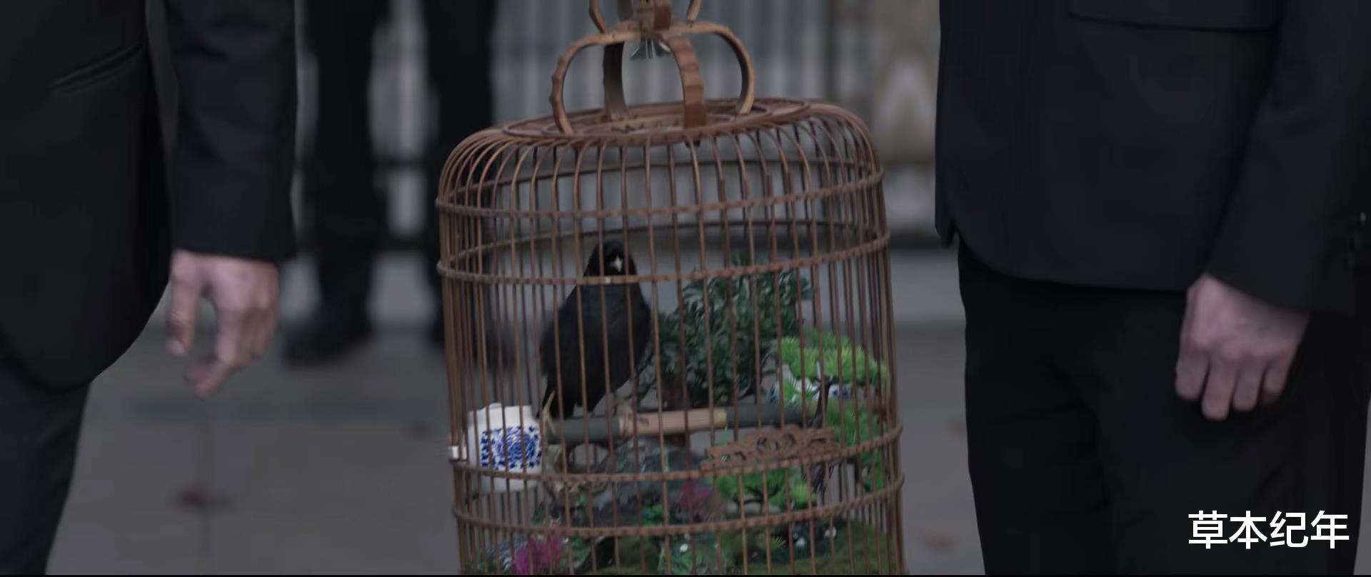 常征|万万没想到，《罚罪》36集后会以这样的方式，为我们留下3大悬念