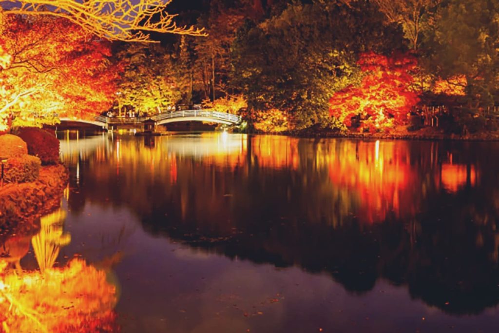 如何让你拍的枫叶更生动,从构图到拍摄时间,都要有所讲究