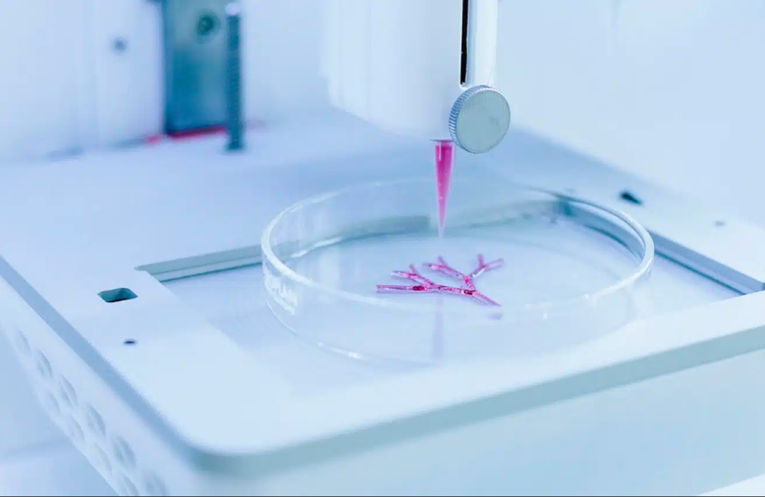 |10年后，生物3D打印市场的新“三巨头”