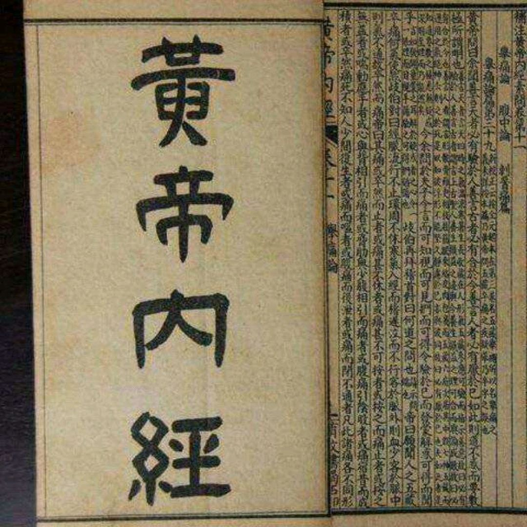 |中医奇才李阳波，中医造诣或许更胜倪海厦，人称“中医CT机”