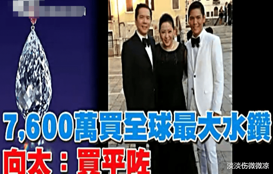 网友餐厅偶遇向太,两人温馨合影,向太手上巨型钻戒太亮眼