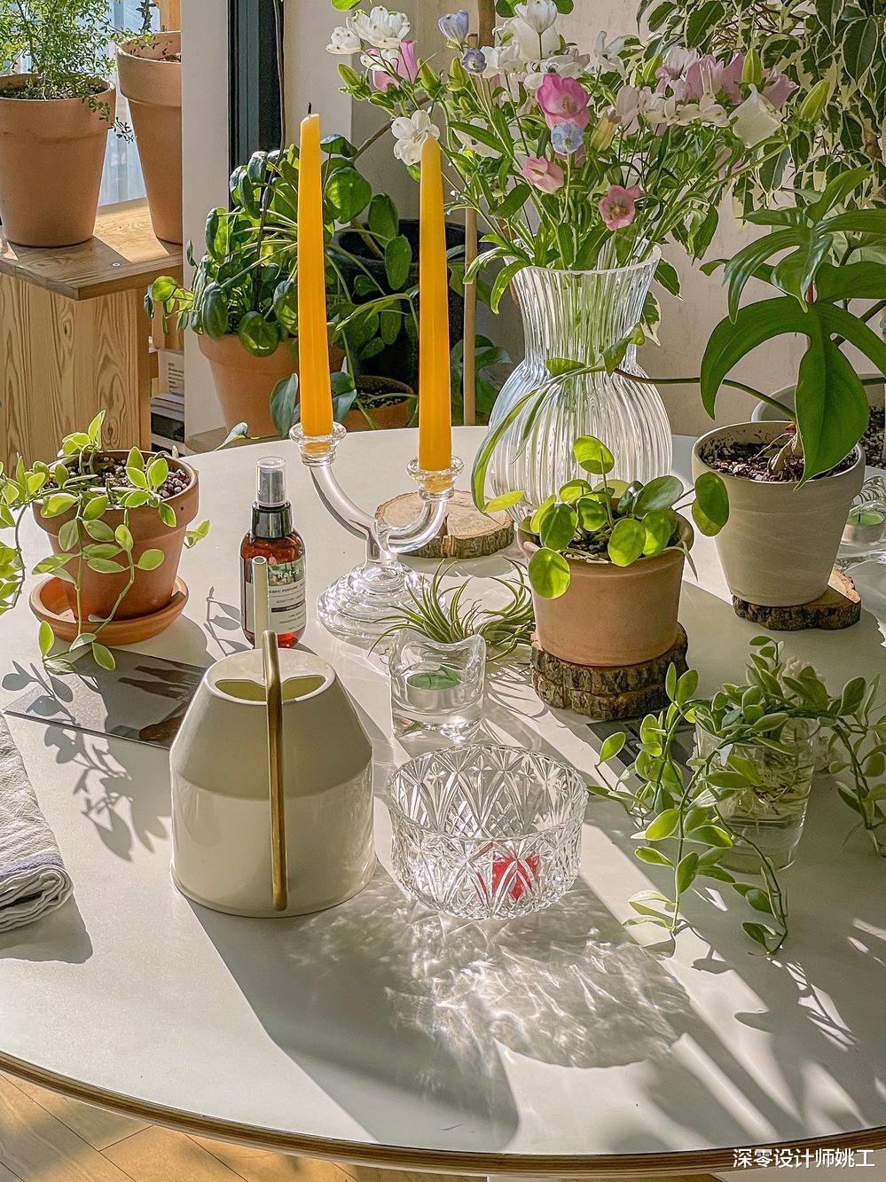 也只有年轻人能干这样的事儿吧!室内铺满绿植,就像进入“森林”般