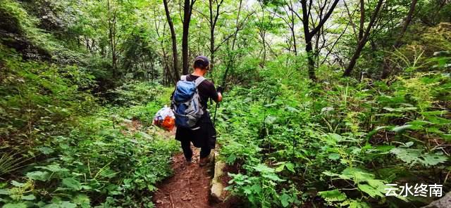 舍利塔|这么多皇上都到人头山玩，原来这里可以吃到“仙人果”