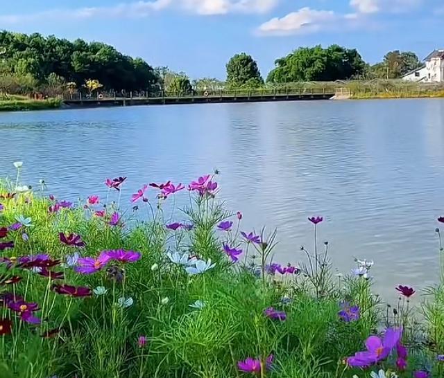 |天南地北,感慨归心